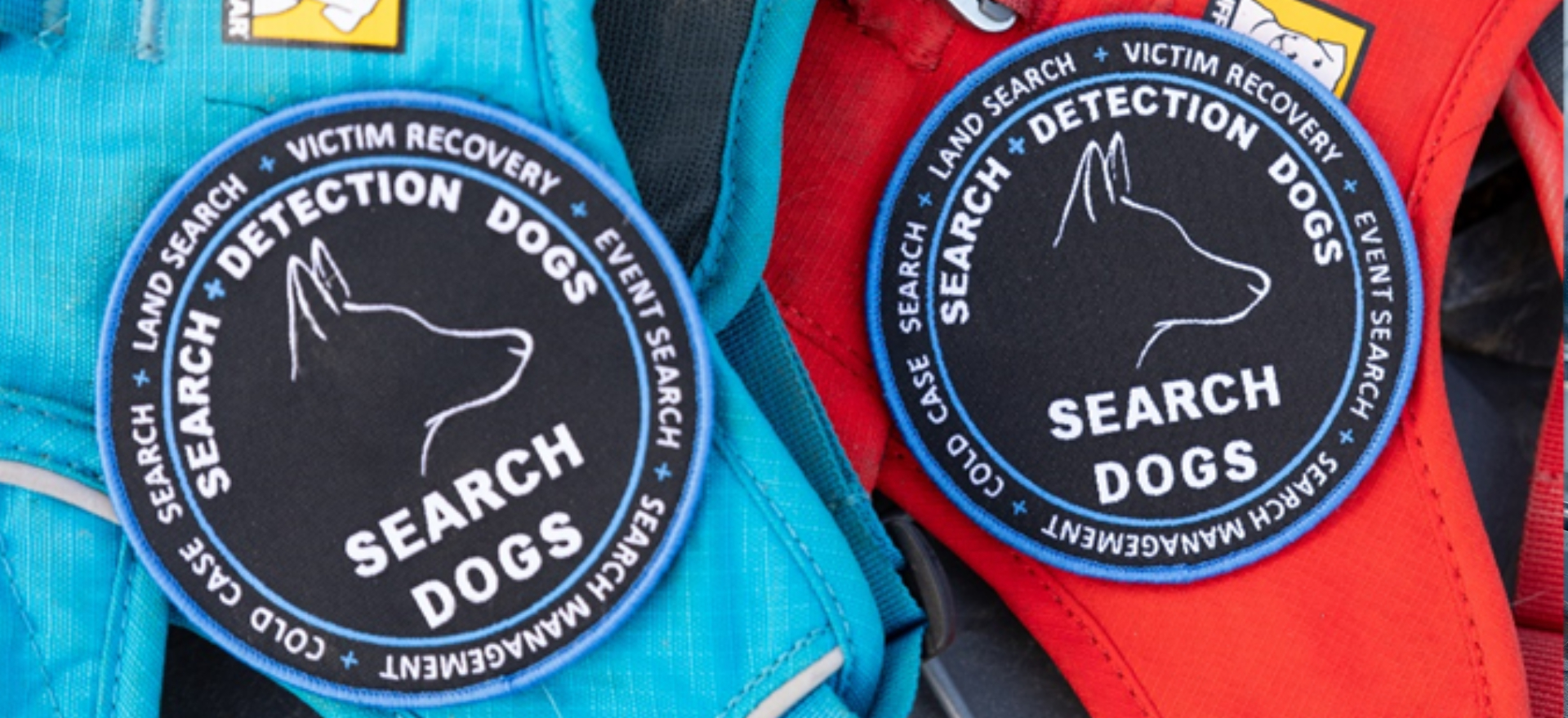 Search + Detection Dogs  