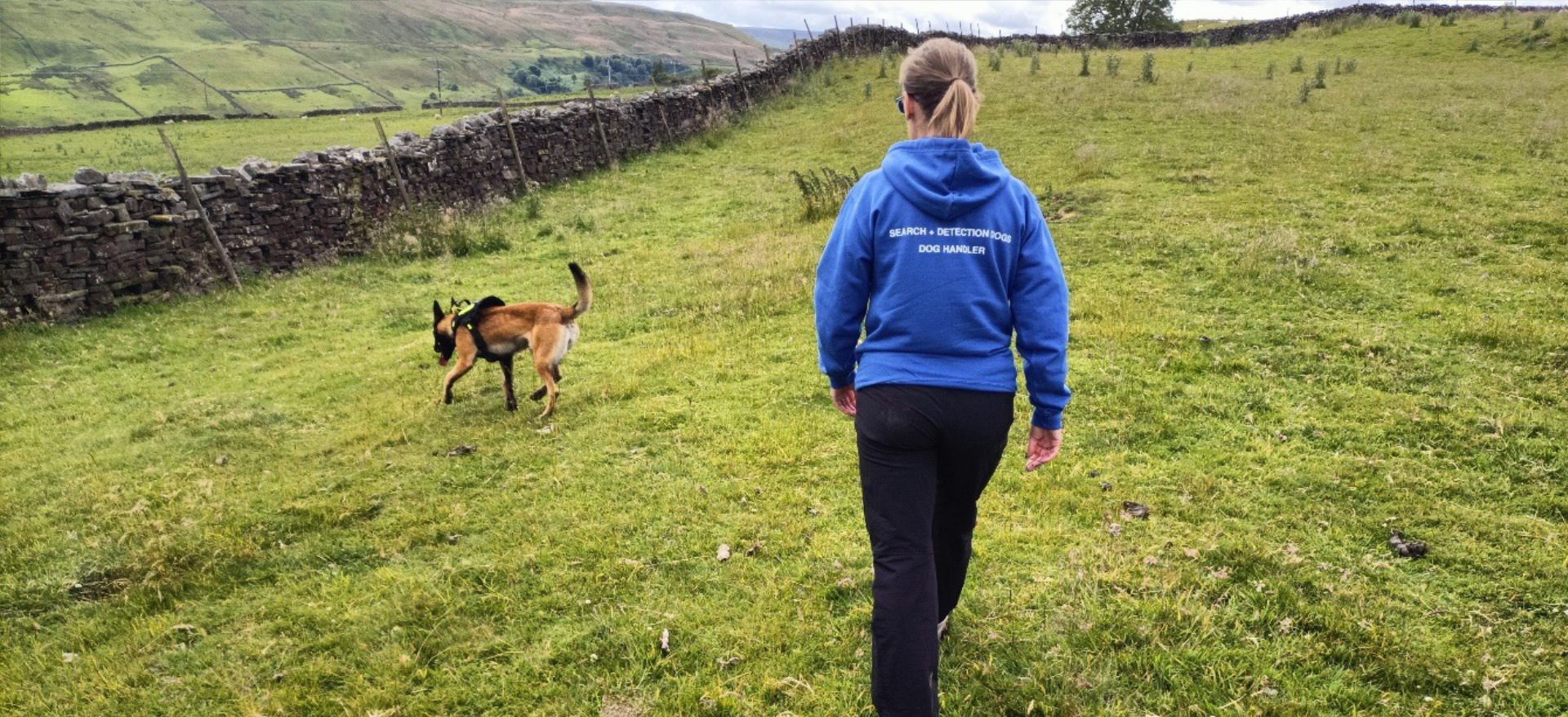 Search + Detection Dogs  