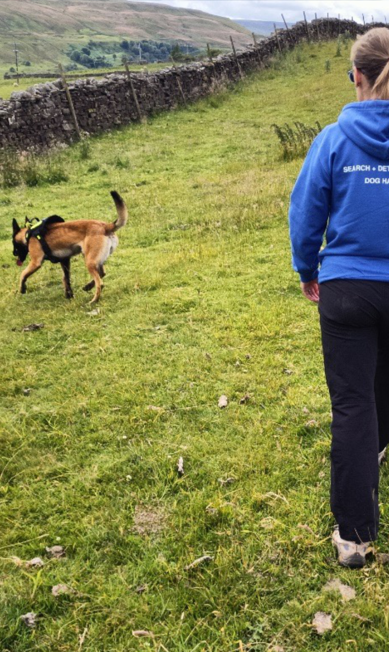 Search + Detection Dogs  