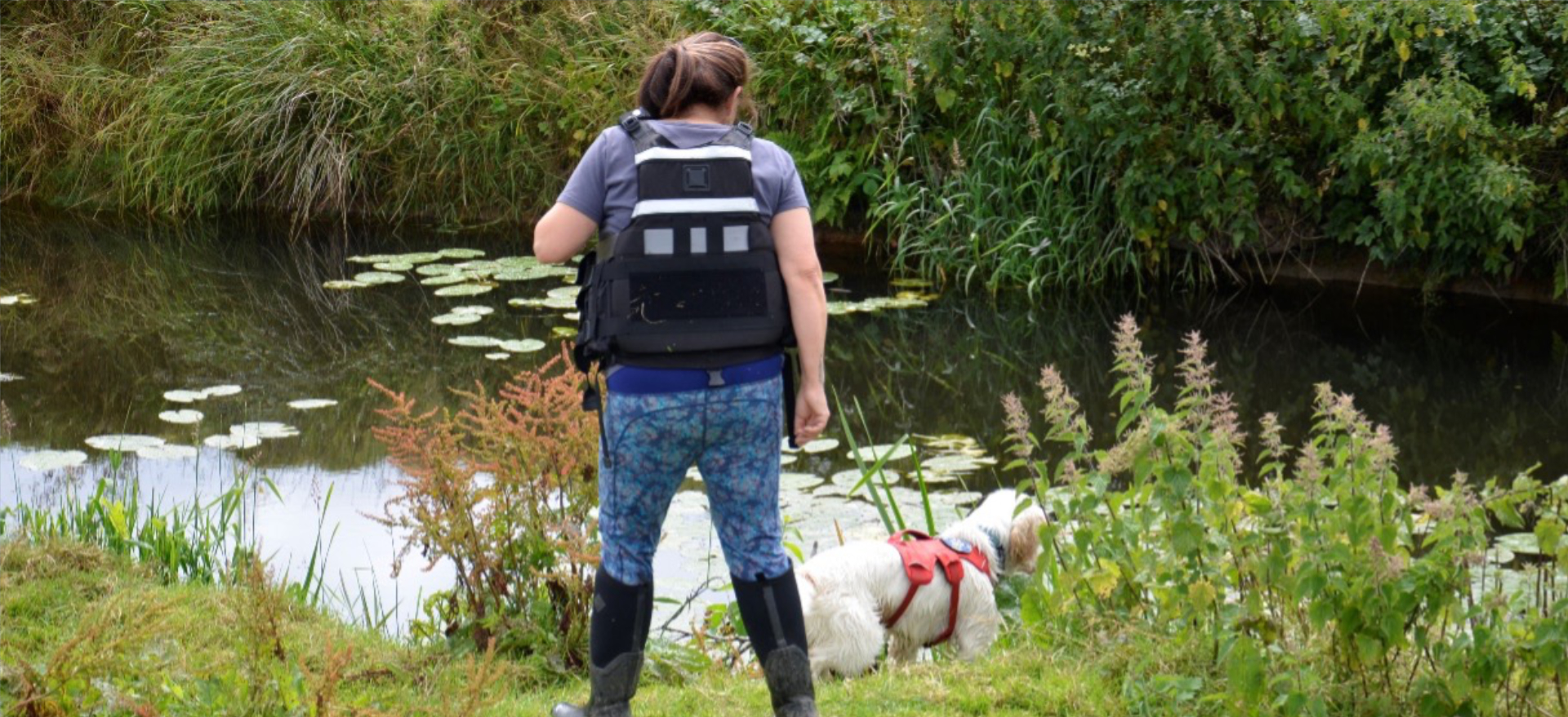 Search + Detection Dogs  