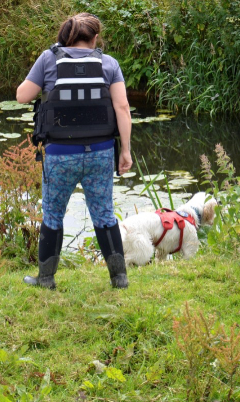 Search + Detection Dogs  